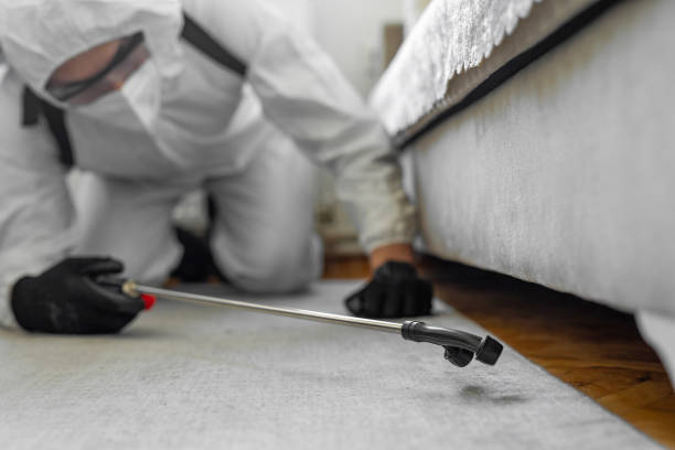 Professional Termite Control technician working in Lead, SD