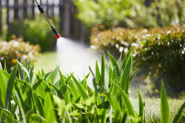 24/7 Emergency Termite Control experts in Lead, SD