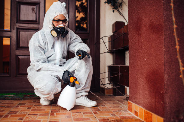 Reliable Termite Control contractor in Lead, SD by Nex Pest Control